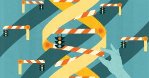 Stoplights, barriers, and DNA strand